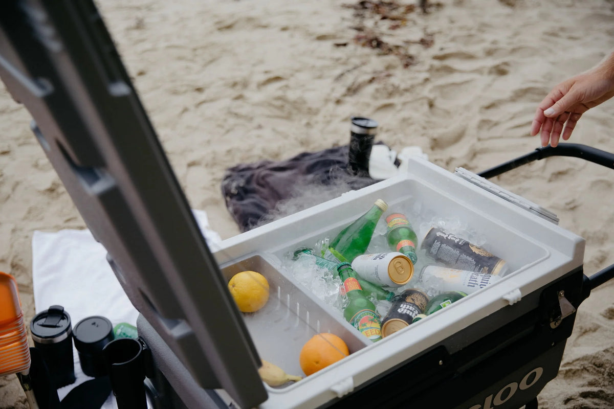 70 Qt. Wheeled Cooler H9199