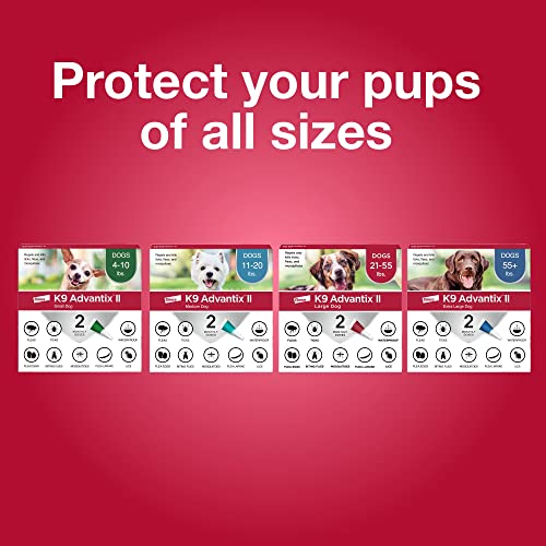 Flea, Tick & Mosquito Treatment & Prevention for Dogs 11-20 lbs V89367