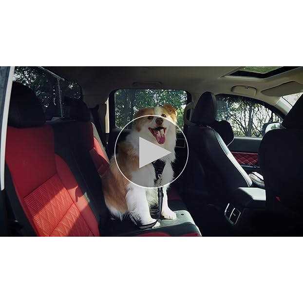 3 Piece Set Adjustable Dog Car Seat Belt K70060