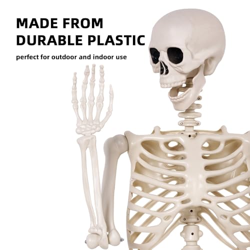 5.4 ft Life Size Posable Plastic Skeleton D387