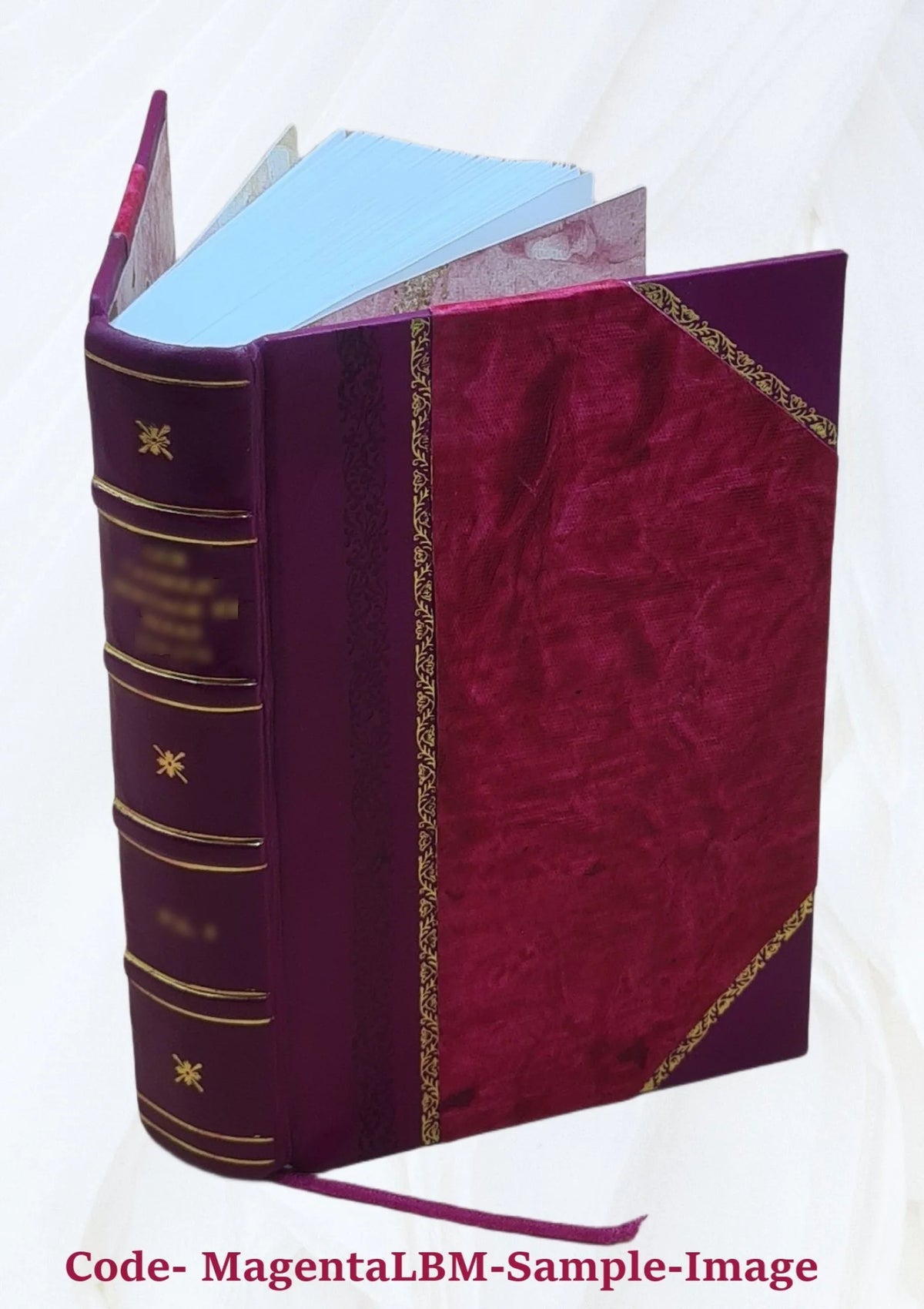 Leçons cliniques sur les affections chirurgicales de la vessie et de la prostate V91894