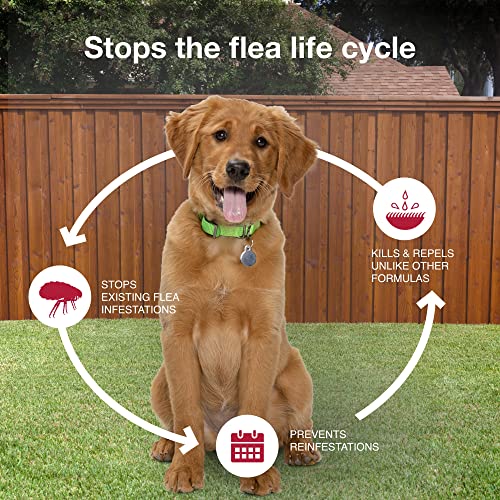 Flea, Tick & Mosquito Treatment & Prevention for Dogs 11-20 lbs V89367