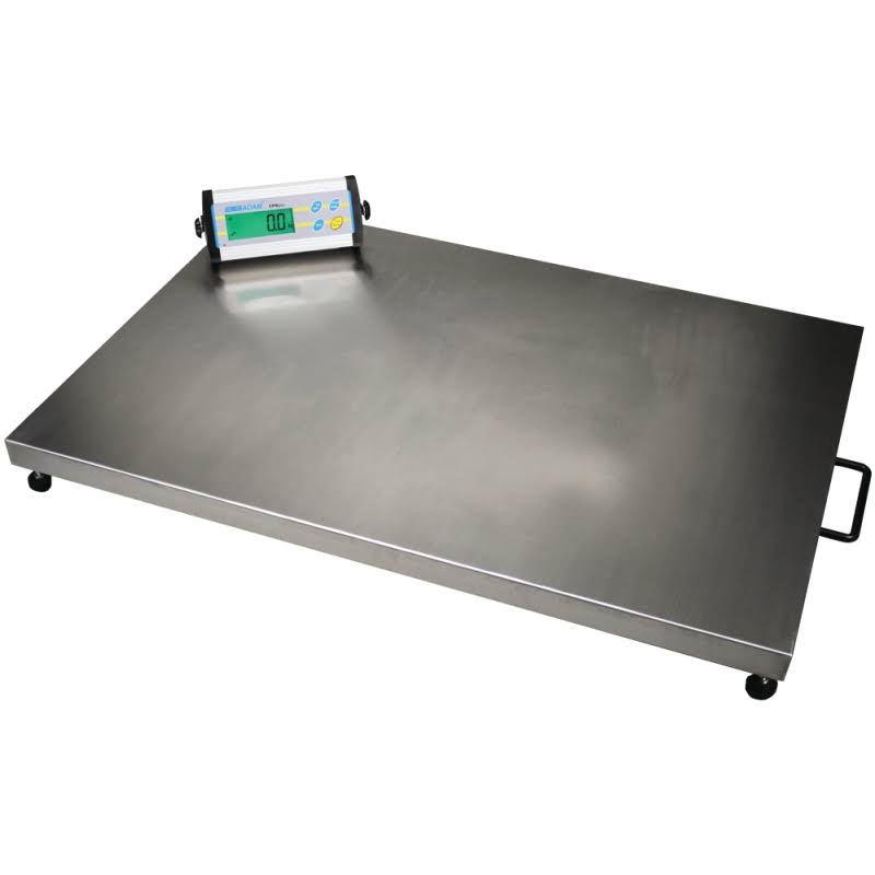 Floor Scale 660lb/300 kg Capacity G769