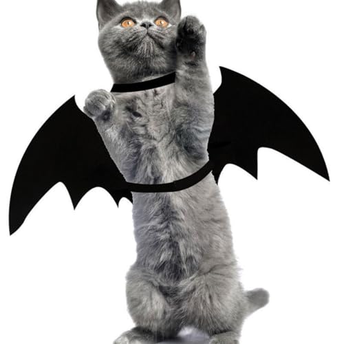 Halloween Pet Costume for Small Dogs & Cats, Lightweight Felt & Polyester, XL D3572