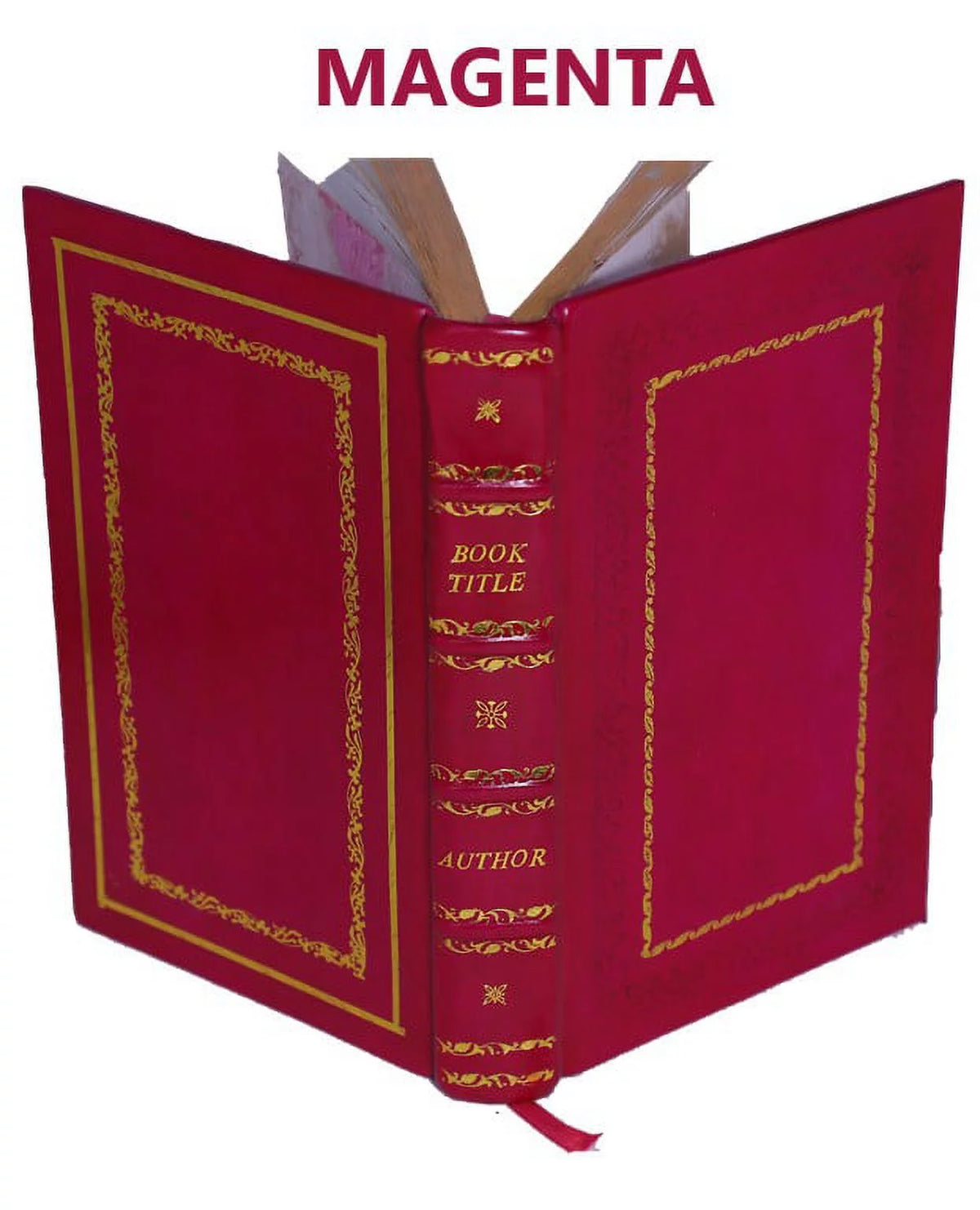 Histoire naturelle de la pyrite Premium Leather Bound N6453