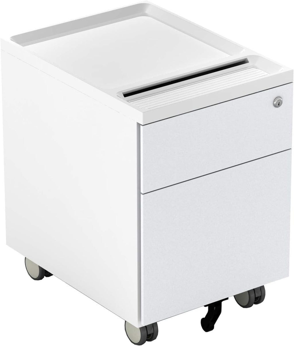 2 Drawer Metal File Cabinet with Lock and Casters W22811