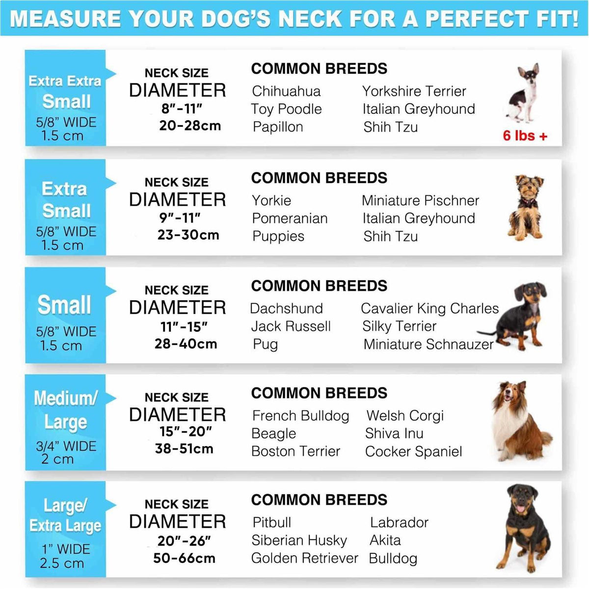 Reflective Dog Collar Small R30821