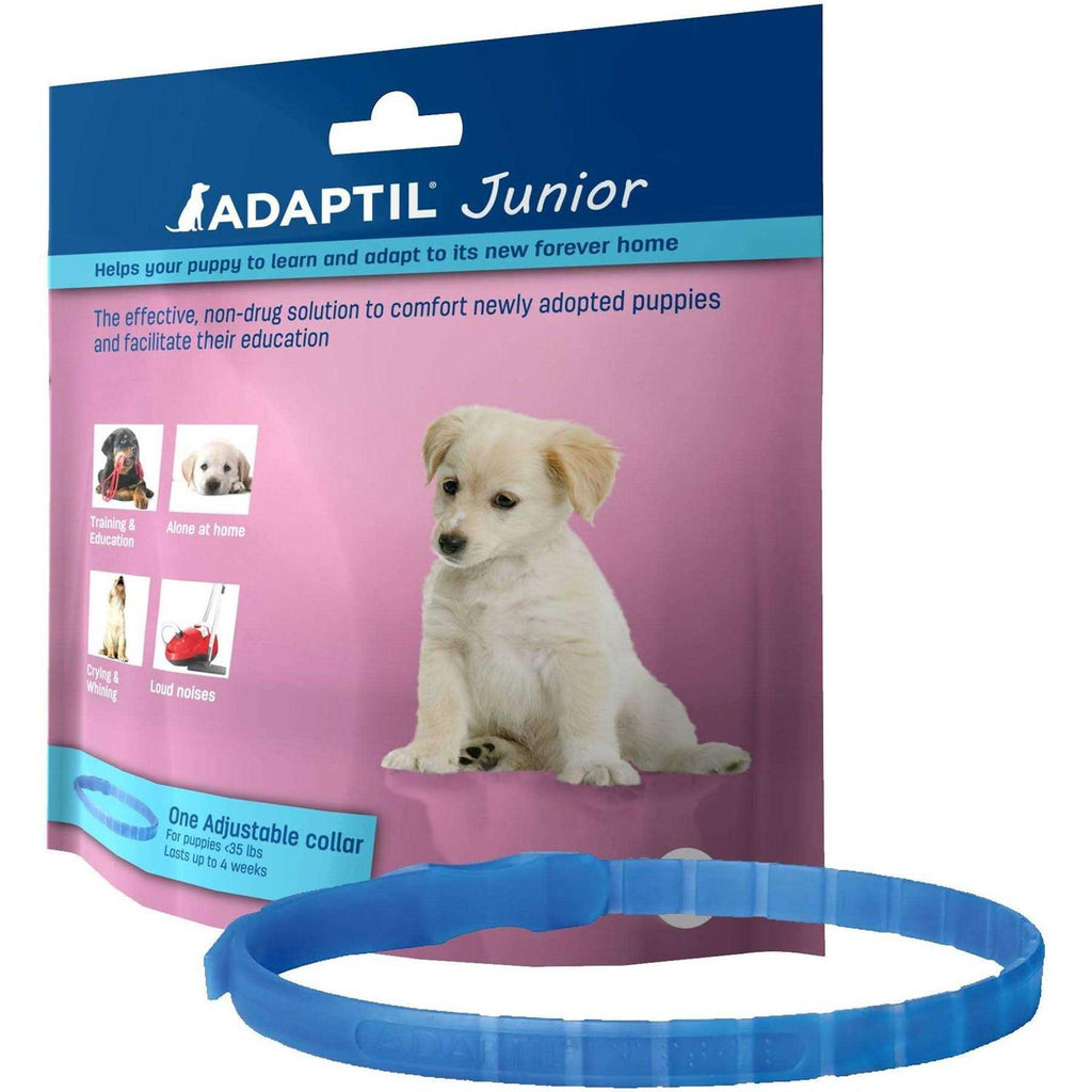 Junior Collar P169