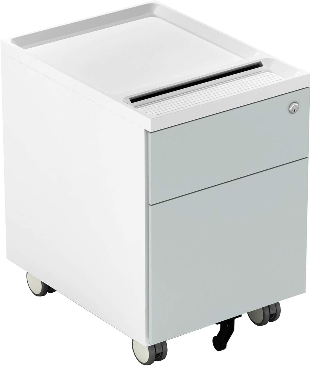 2 Drawer Metal File Cabinet with Lock and Casters W22811