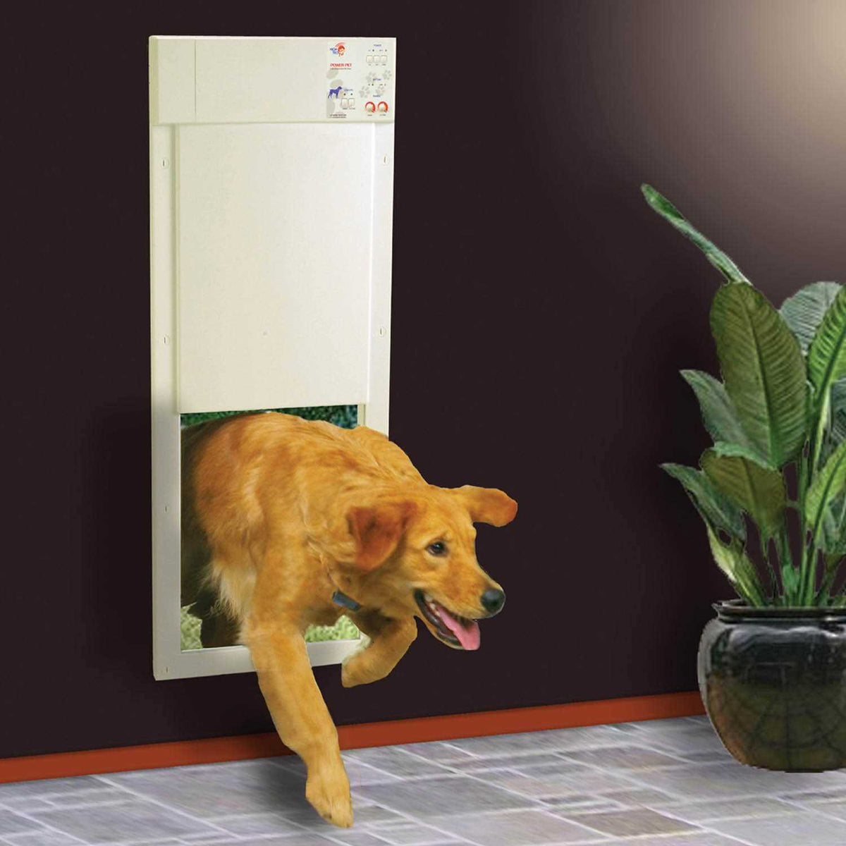 Motorized Pet Door Z139653