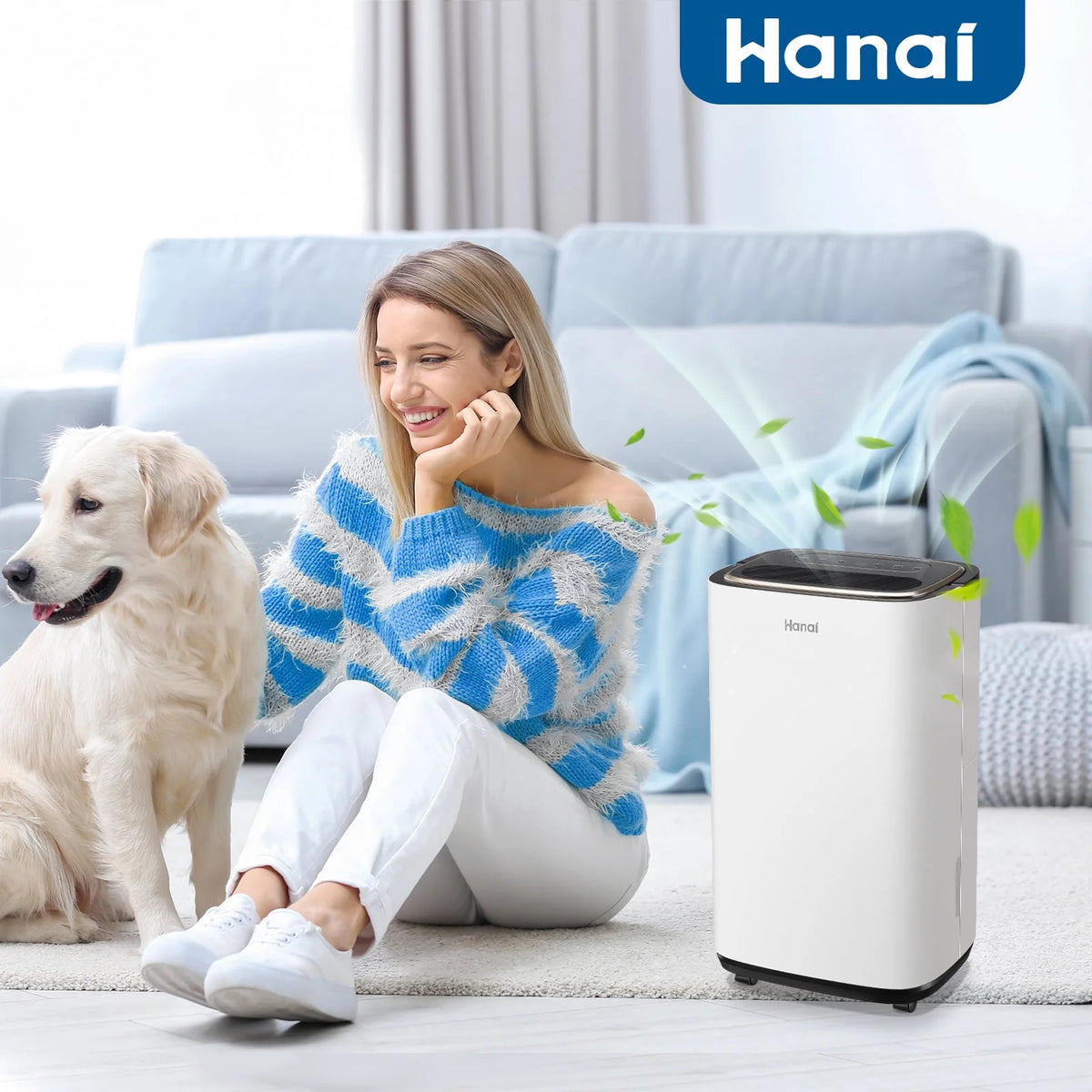 30 Pint Portable Dehumidifier with 3 Modes & Timer L213