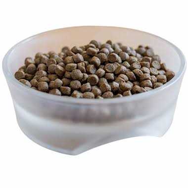 Active Dry Dog Food I330