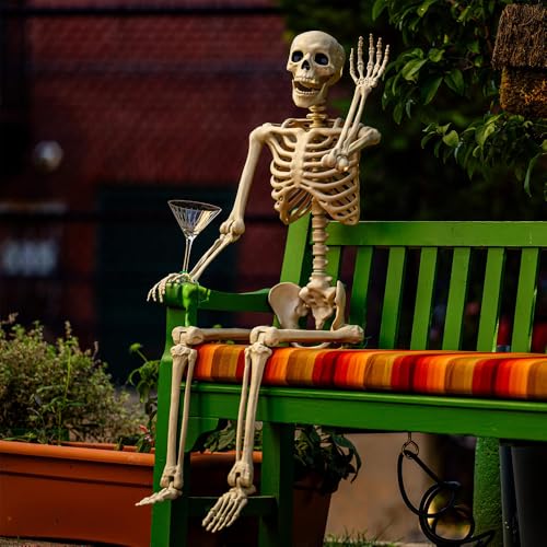 5.4 ft Life Size Posable Plastic Skeleton D387