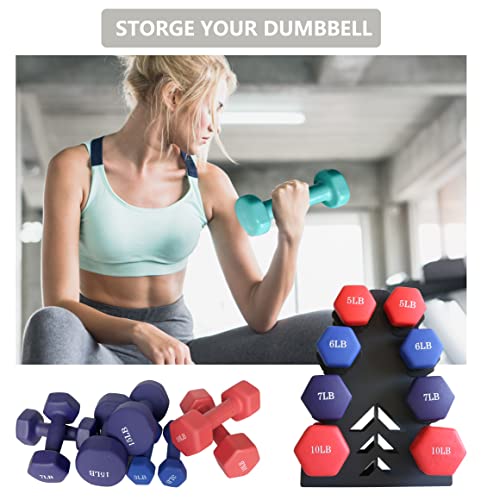 Dumbbell Storage Rack N103