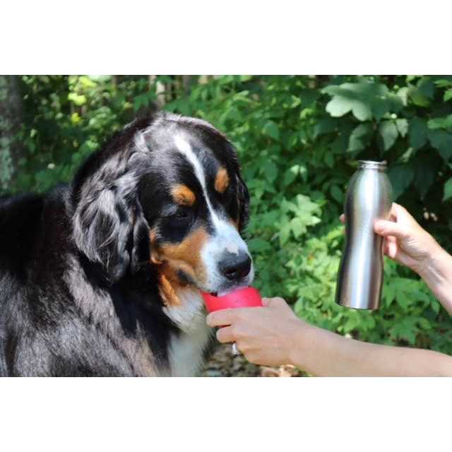 Stainless Steel Dog Water Bottle C6635