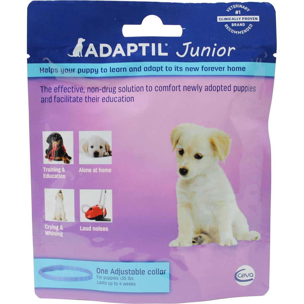 Junior Collar P169