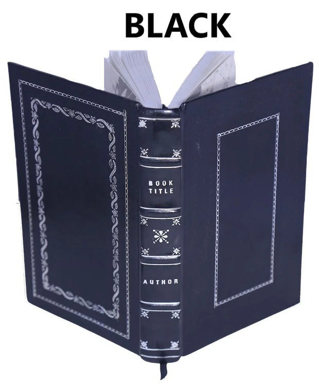 Histoire naturelle de la pyrite Premium Leather Bound N6453