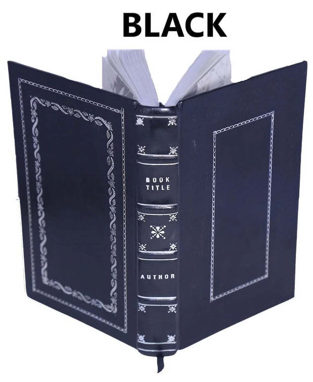 Histoire naturelle de la pyrite Premium Leather Bound N6453
