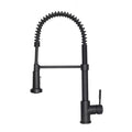 Kitchen Faucet V946