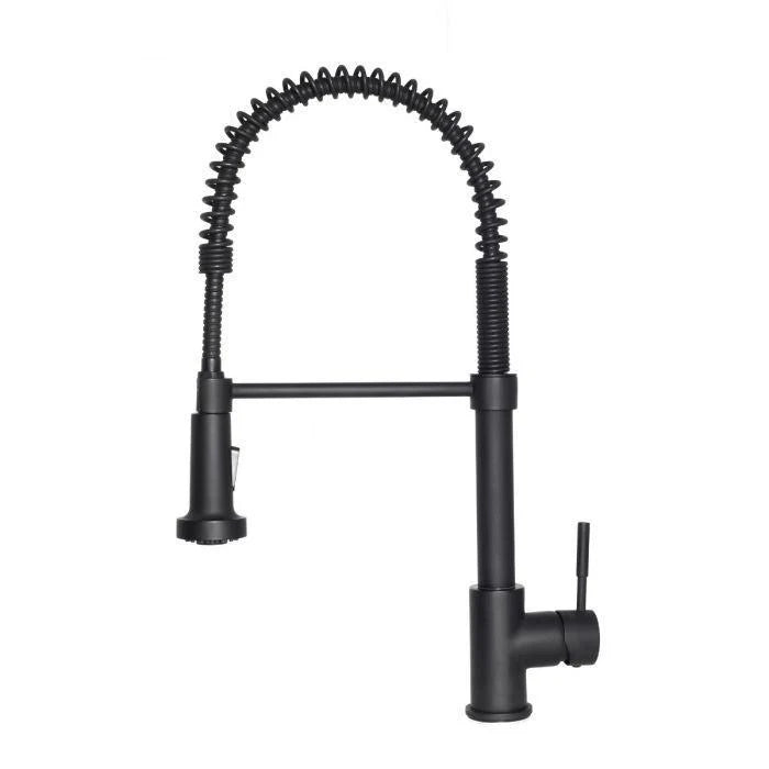 Kitchen Faucet V946