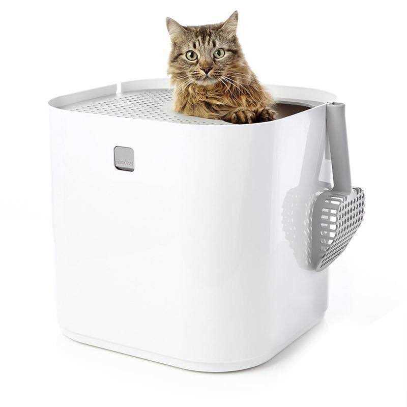 Litter Box F46494