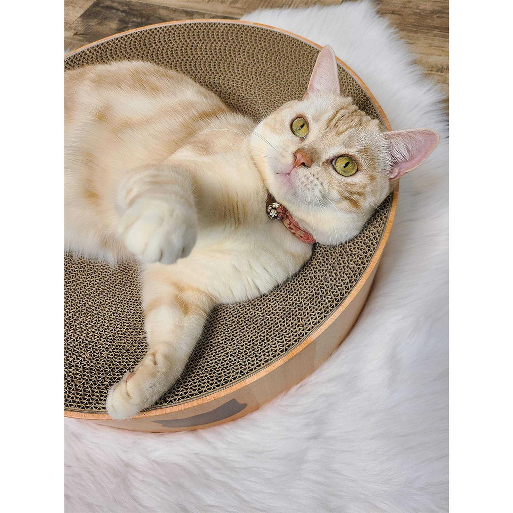 Cat Scratcher Bowl H8303