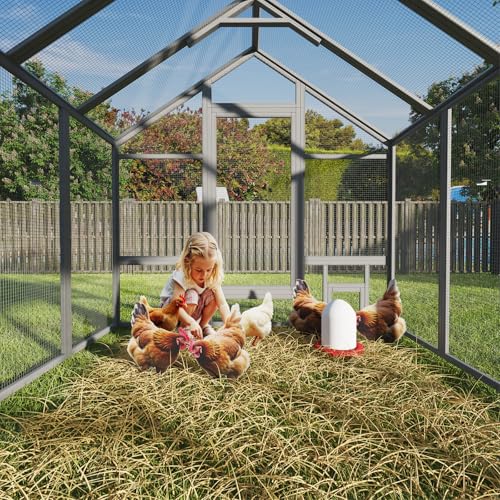Large Wood Chicken Coop with Nesting Box and Run W731