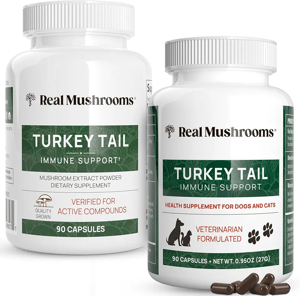 Turkey Tail Mushroom Extract Capsules D6793