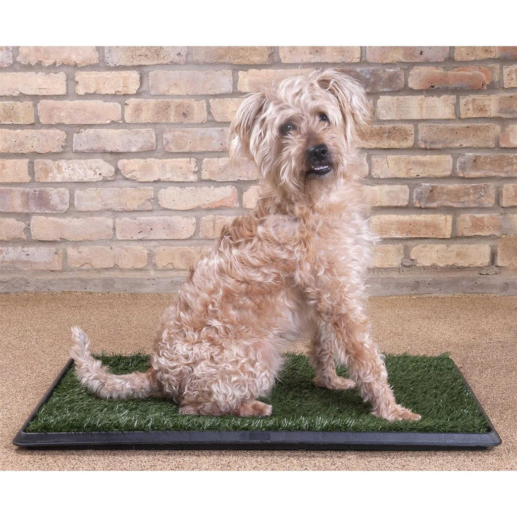 Dog Grass Pad with Tray G91280