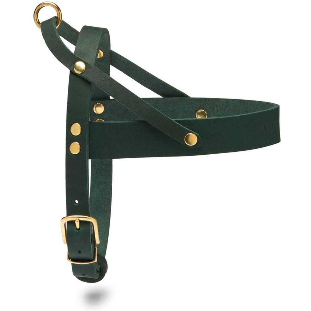 Leather Dog Harness N120