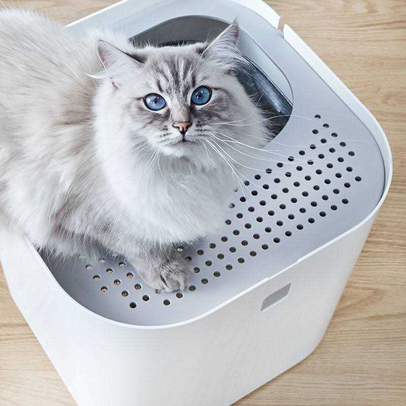 Litter Box F46494