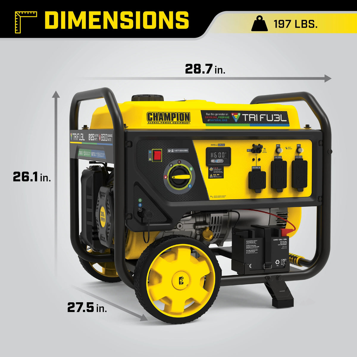 6500-Watt Tri-Fuel Portable Generator with Electric Start E468011