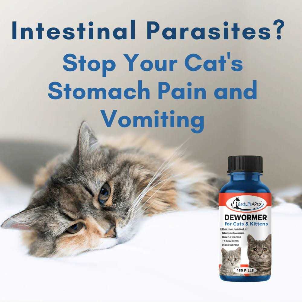 Broad Spectrum Dewormer for Cats and Kittens D953953