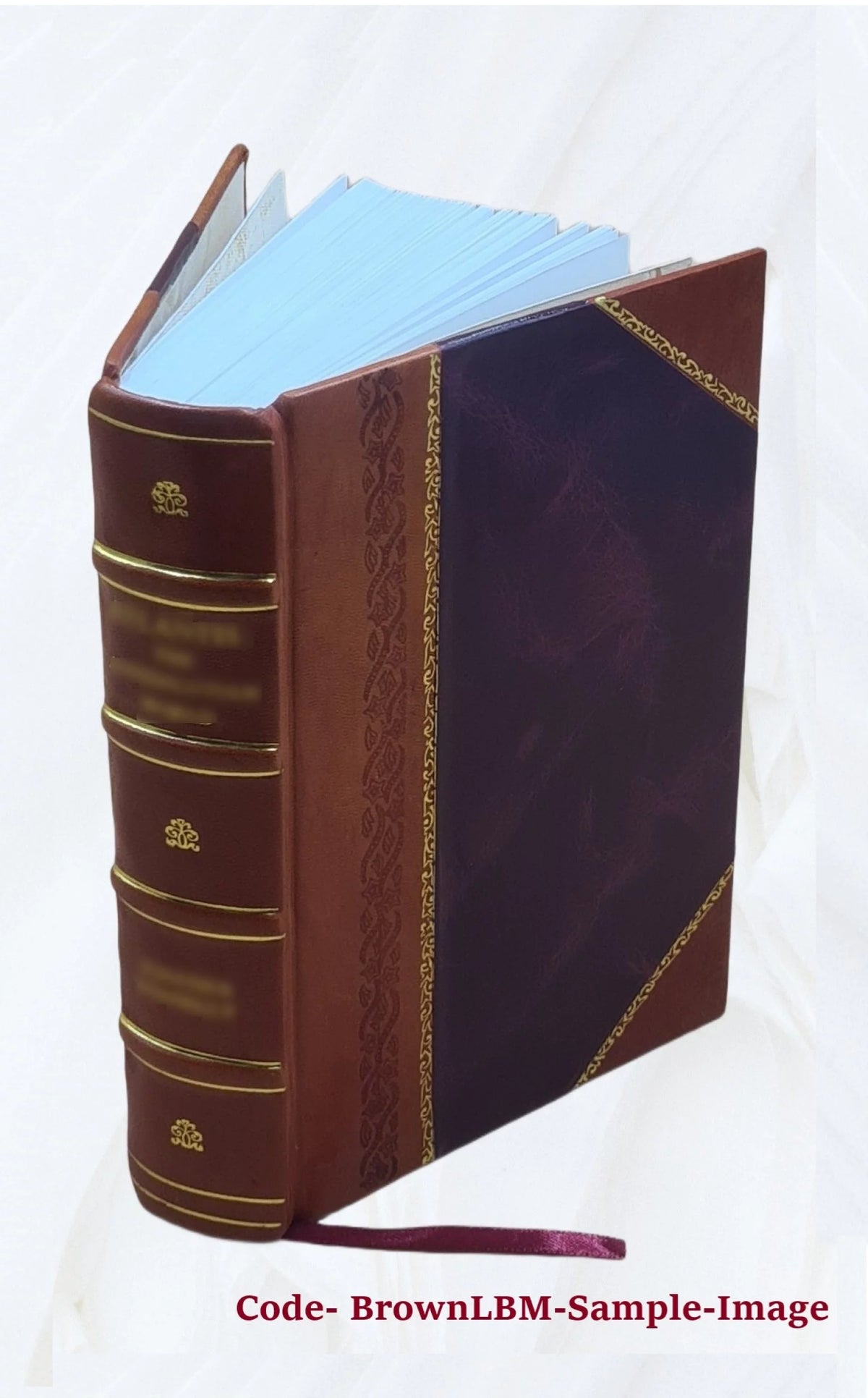Leçons cliniques sur les affections chirurgicales de la vessie et de la prostate V91894
