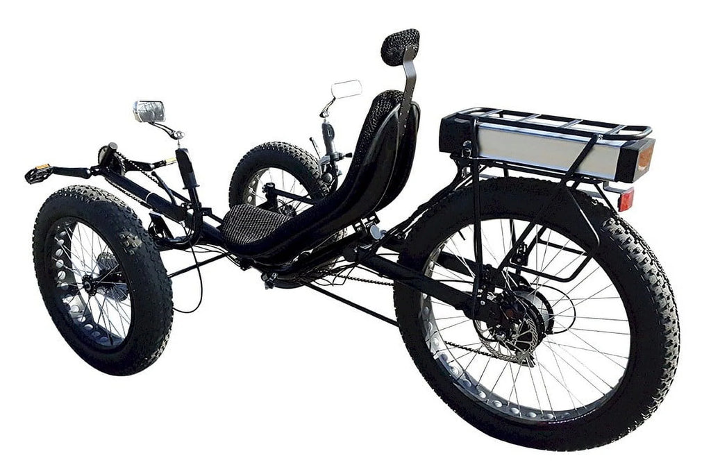 Fat Tire Electric Tricycle with 750W Motor R894