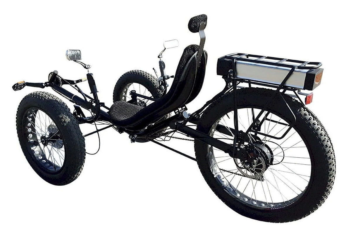 Fat Tire Electric Tricycle with 750W Motor R894