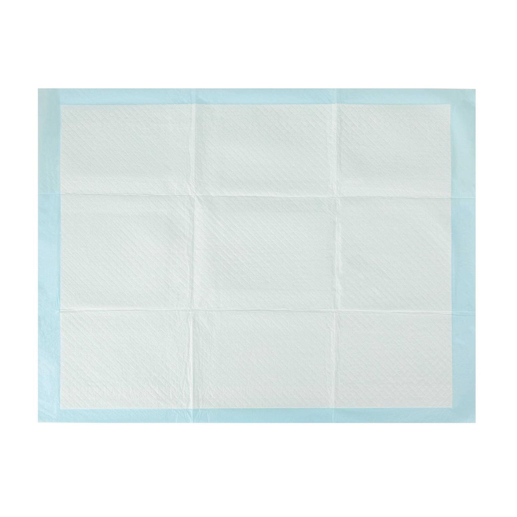 XL Super Absorbent Training Pads B367453
