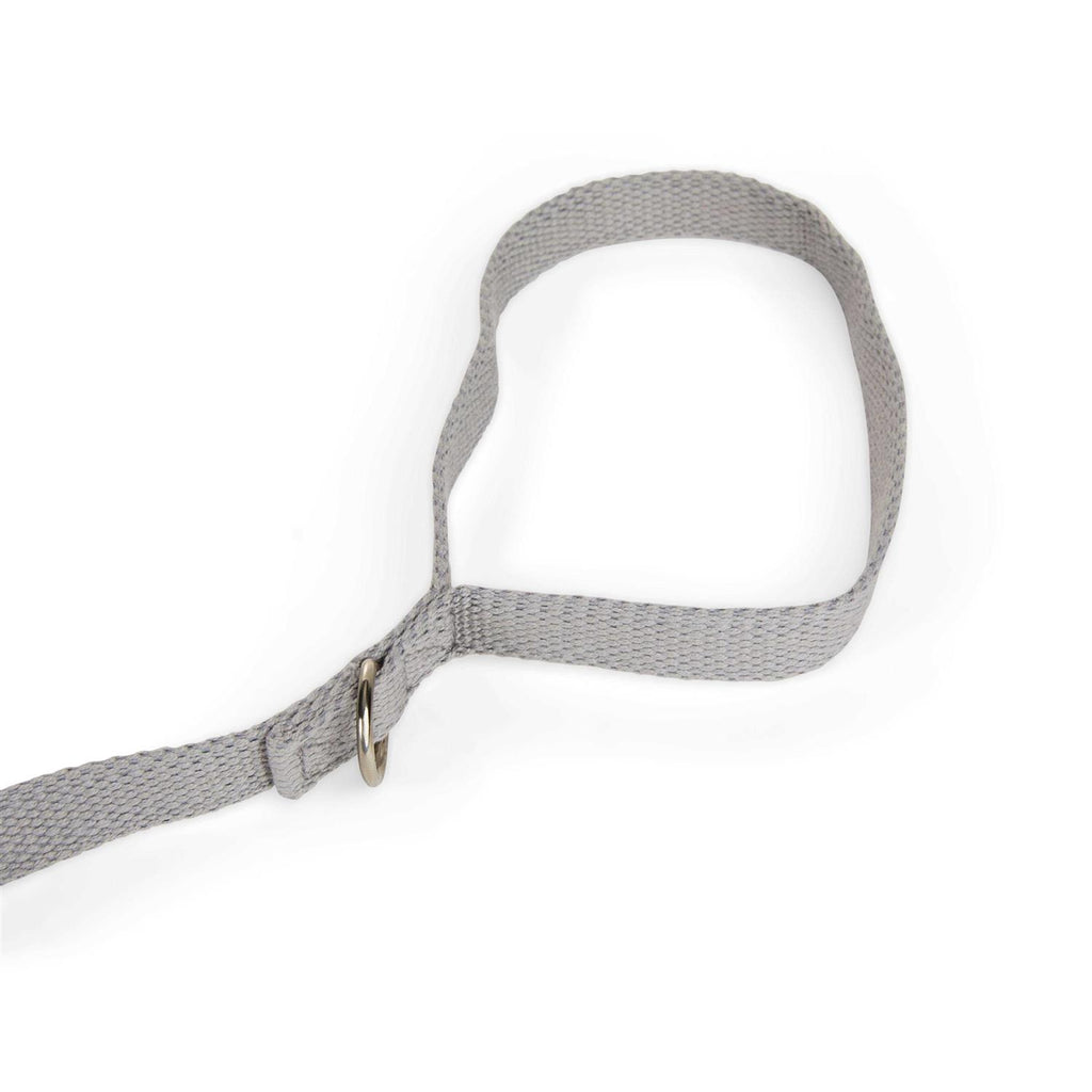 Adjustable Dog Lead L577