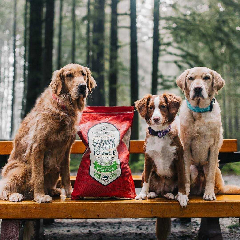 Cage-Free Duck Raw Coated Kibble Dog Food N35030