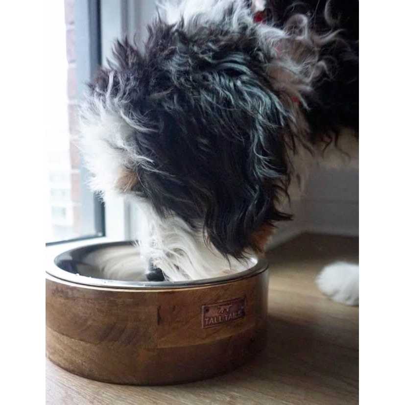 Wood Dog Bowl Y391754