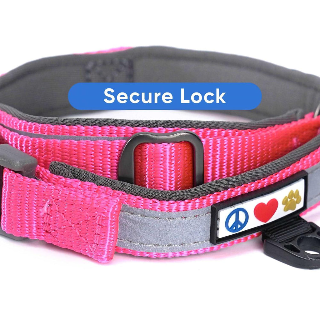 Reflective Dog Collar Small R30821