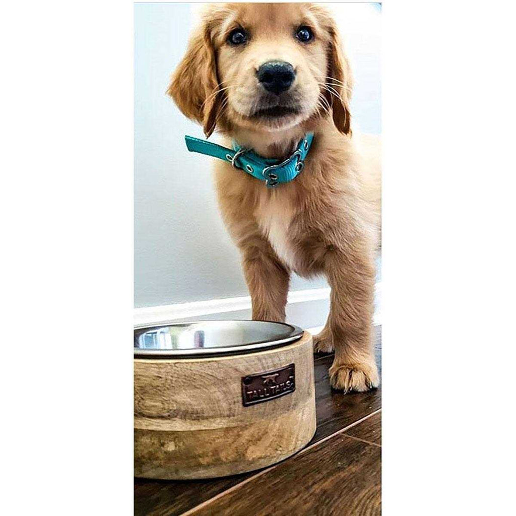 Wood Dog Bowl Y391754