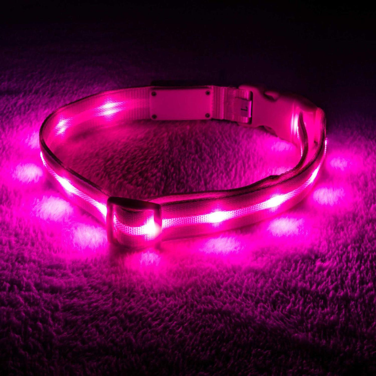 LED Light Up Dog Collar P15336