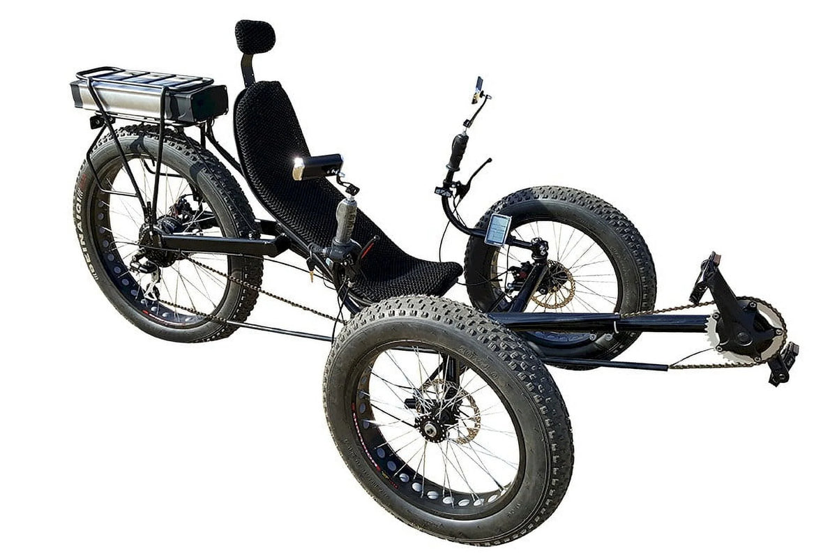Fat Tire Electric Tricycle with 750W Motor R894