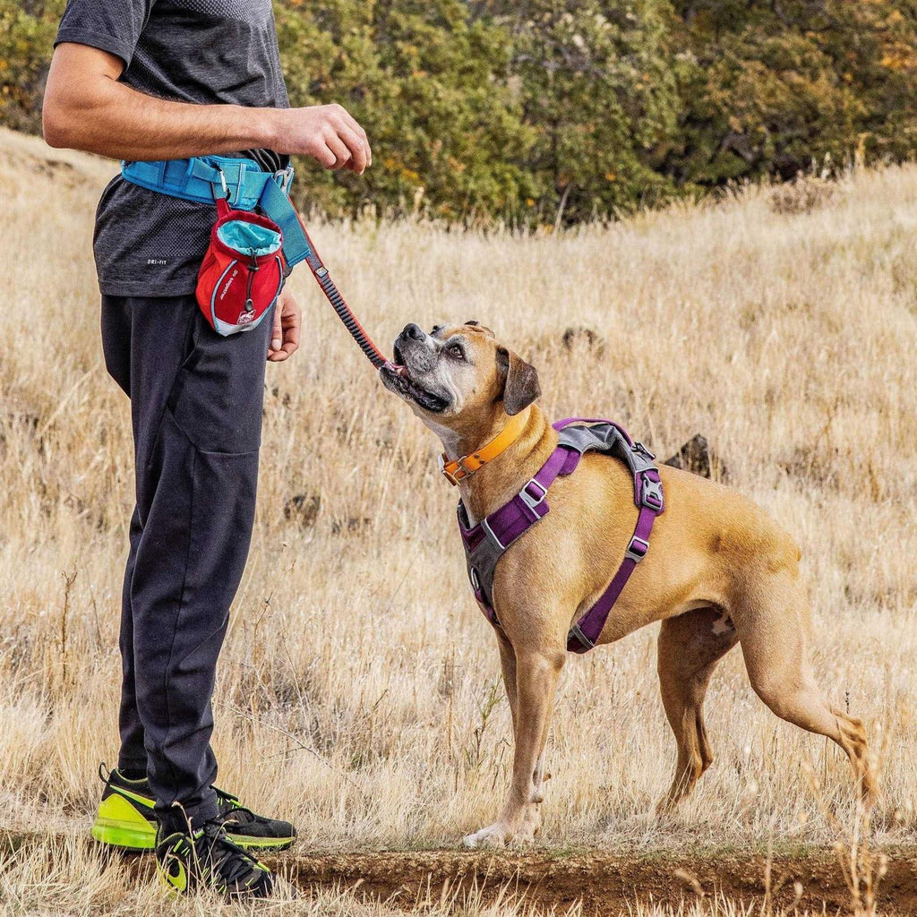 Dog Treat Bag P9915
