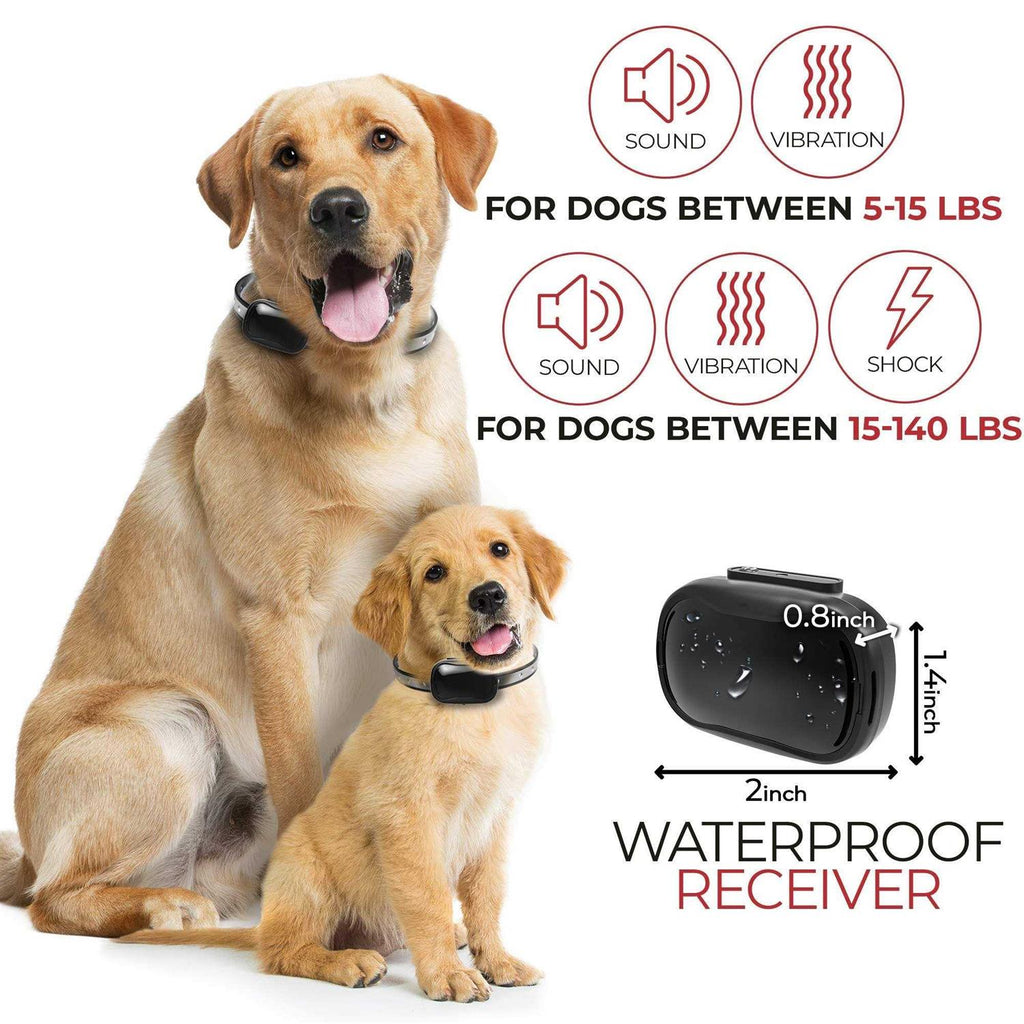 Extra Small Dog Training Collar with Remote X162