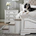 Pet Steps C2948