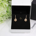 Earrings P960709