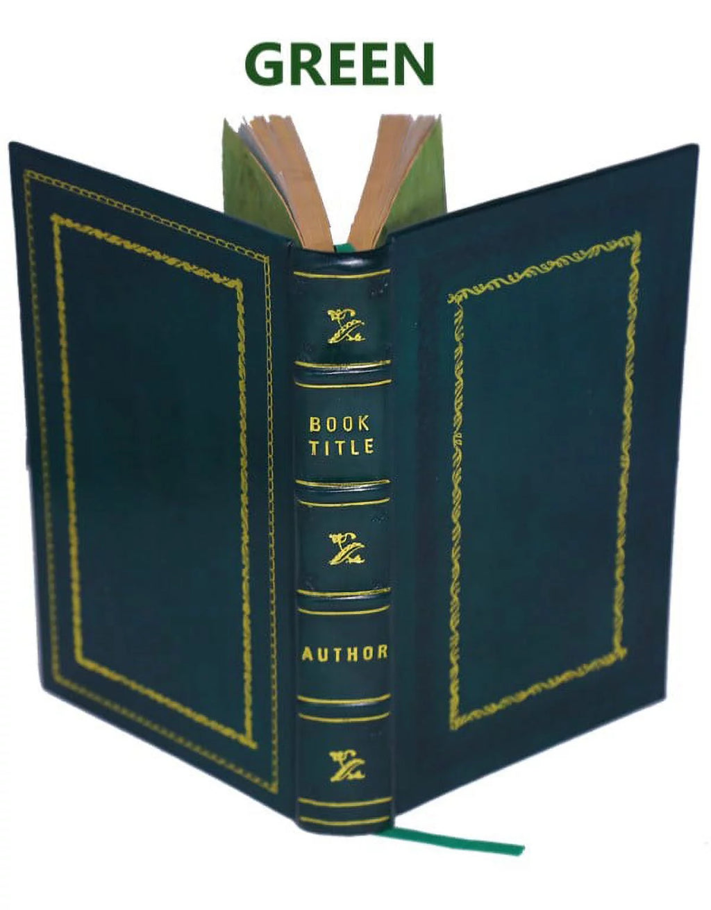 Histoire naturelle de la pyrite Premium Leather Bound N6453