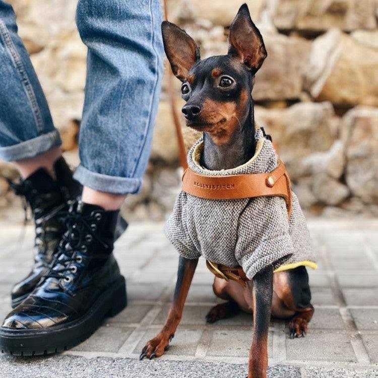 Leather Dog Harness N120